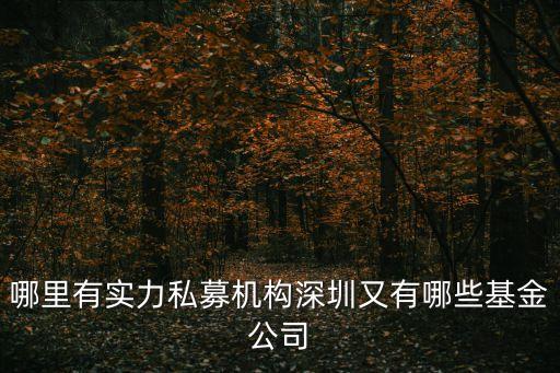哪里有實(shí)力私募機(jī)構(gòu)深圳又有哪些基金公司