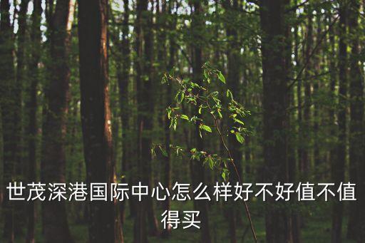 深圳市世茂五期地塊，咨詢渤海論壇這地塊有什么規劃