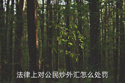 法律上對公民炒外匯怎么處罰