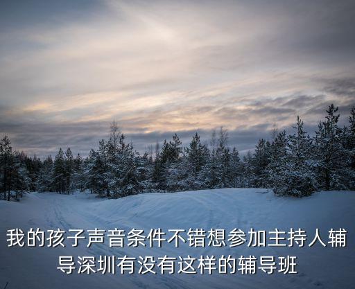 我的孩子聲音條件不錯想參加主持人輔導深圳有沒有這樣的輔導班