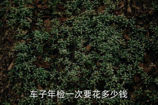 車子年檢一次要花多少錢