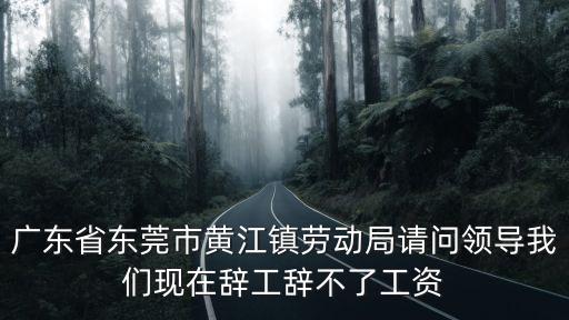 東莞黃江袁國雄，東莞市黃江鎮哪里有老中醫院