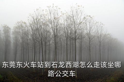 東莞東火車站到石龍西湖怎么走該坐哪路公交車