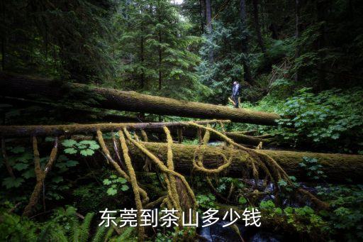 東莞茶山價(jià)目表，東莞到茶山多少錢