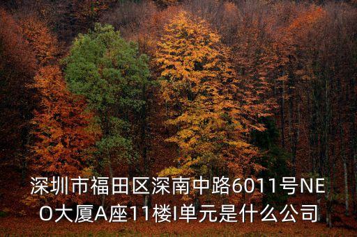深圳市福田區深南中路6011號NEO大廈A座11樓I單元是什么公司