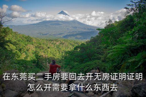 在東莞買二手房要回去開無房證明證明怎么開需要拿什么東西去