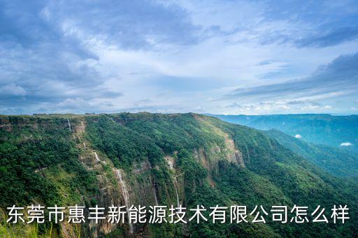 東莞市惠豐新能源技術有限公司怎么樣