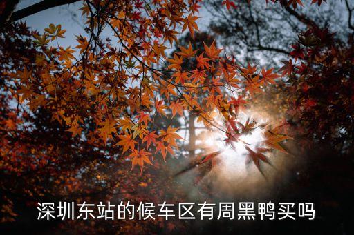 深圳東站的候車區(qū)有周黑鴨買嗎