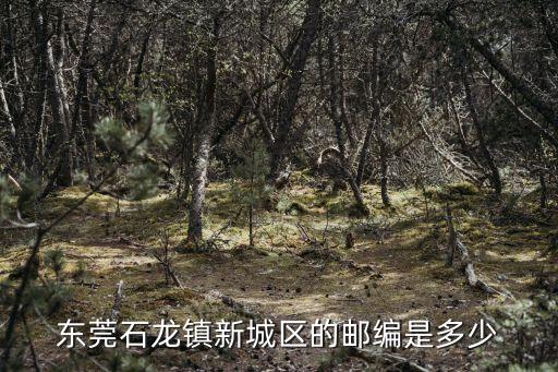 東莞市石龍鎮龍林路郵政編碼，東莞市石龍的郵政編碼是多少