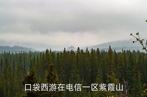 口袋西游在電信一區(qū)紫霞山
