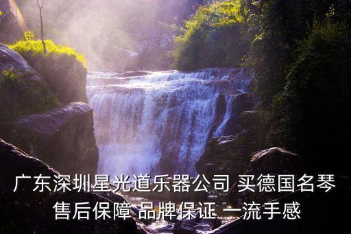 廣東深圳星光道樂(lè)器公司 買(mǎi)德國(guó)名琴 售后保障 品牌保證 一流手感