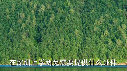 在深圳上學兩免需要提供什么證件