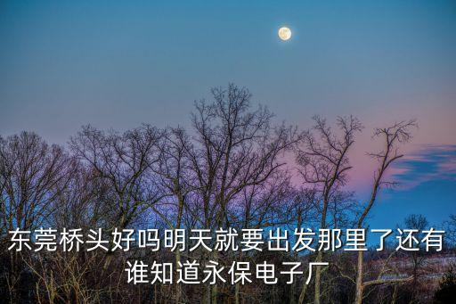 東莞橋頭永福廠怎么樣，東莞橋頭都有什么嘗啊 那個廠的工資比較高點 要女生不 想在橋頭找點