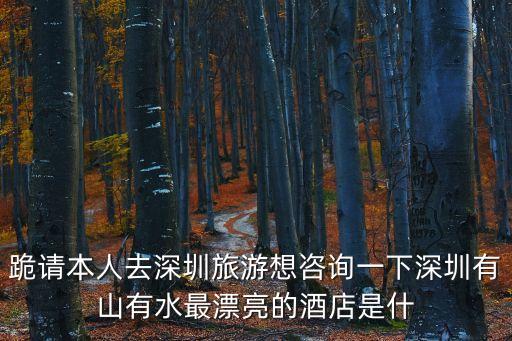 跪請本人去深圳旅游想咨詢一下深圳有山有水最漂亮的酒店是什