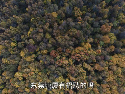 東莞塘廈有招聘的嗎