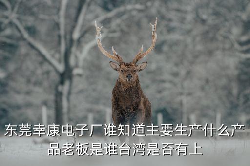 東莞幸康電子廠誰知道主要生產什么產品老板是誰臺灣是否有上