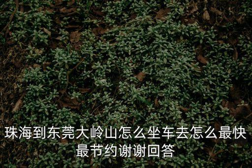 珠海到東莞大嶺山怎么坐車去怎么最快最節約謝謝回答