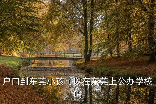 戶口到東莞小孩可以在東莞上公辦學校嗎