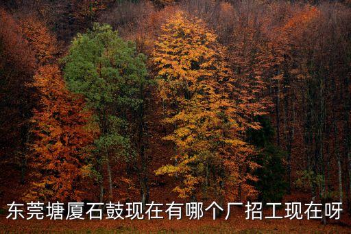 東莞塘廈石鼓現在有哪個廠招工現在呀