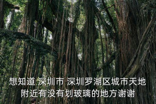 想知道 深圳市 深圳羅湖區城市天地附近有沒有劃玻璃的地方謝謝