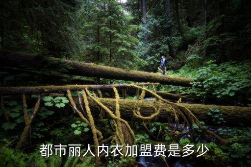 都市麗人內(nèi)衣加盟費(fèi)是多少