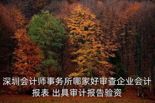 深圳會(huì)計(jì)師事務(wù)所哪家好審查企業(yè)會(huì)計(jì)報(bào)表 出具審計(jì)報(bào)告驗(yàn)資