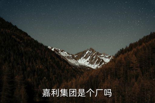 嘉利集團是個廠嗎
