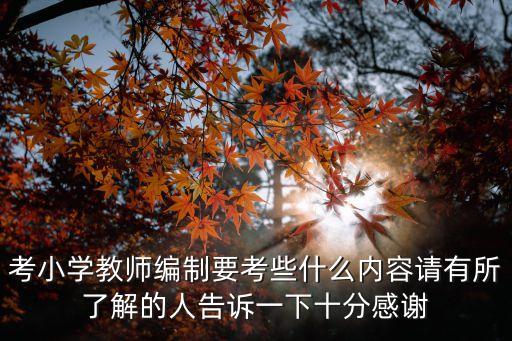 考小學教師編制要考些什么內容請有所了解的人告訴一下十分感謝