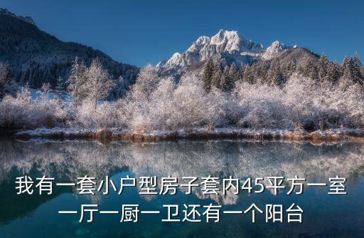 我有一套小戶型房子套內45平方一室一廳一廚一衛還有一個陽臺
