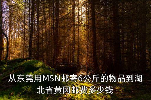 從東莞用MSN郵寄6公斤的物品到湖北省黃岡郵費(fèi)多少錢