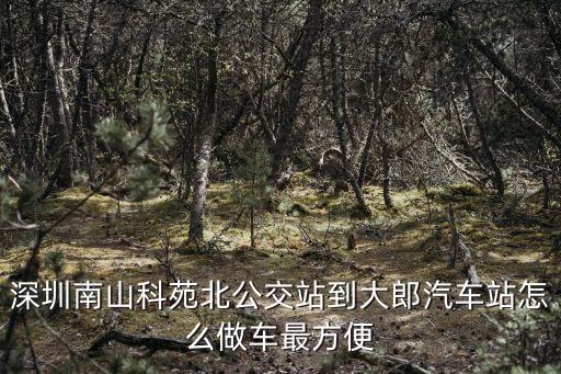 深圳南山科技園科苑北公交站，我在南山科技園上班830上班需要在科苑北或者科苑中下車目