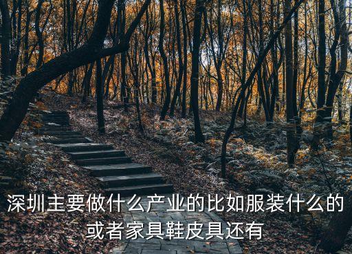 深圳主要做什么產業的比如服裝什么的或者家具鞋皮具還有
