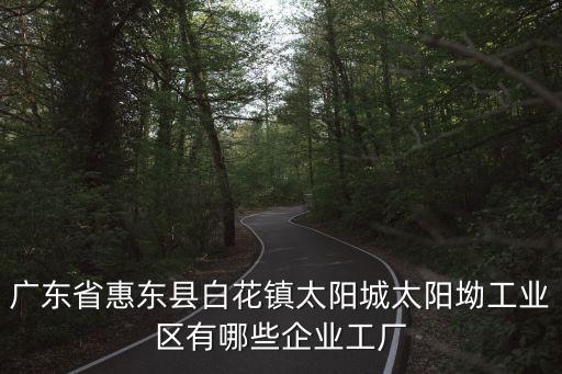 廣東省惠東縣白花鎮太陽城太陽坳工業區有哪些企業工廠
