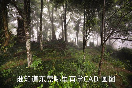 誰知道東莞哪里有學(xué)CAD 畫圖