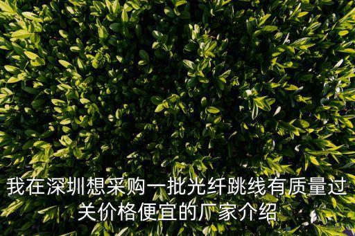 深圳超五類跳線廠家，漢林 超五類雙屏蔽網(wǎng)線