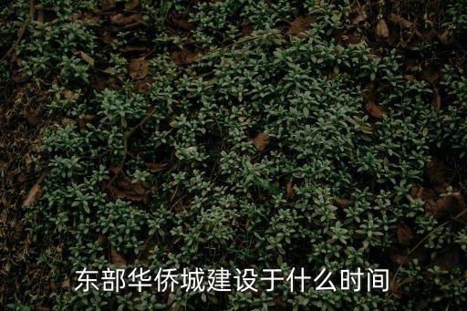 東部華僑城建設于什么時間