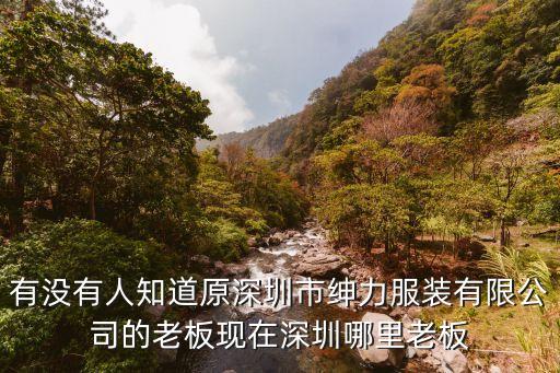 有沒有人知道原深圳市紳力服裝有限公司的老板現(xiàn)在深圳哪里老板