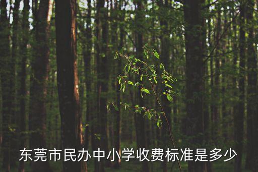 東莞市民辦中小學收費標準是多少
