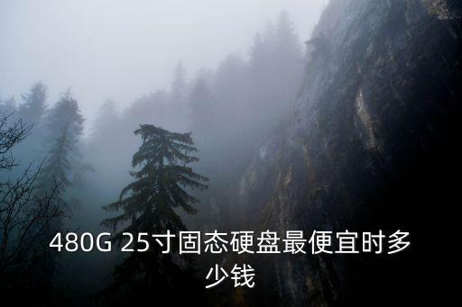 480G 25寸固態硬盤最便宜時多少錢