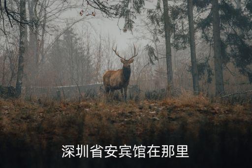 深圳賓利酒店位置，深圳蘭博基尼勞斯萊斯賓利瑪莎拉蒂蘭博基尼保時捷的專賣