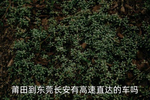 莆田到東莞長安有高速直達的車嗎