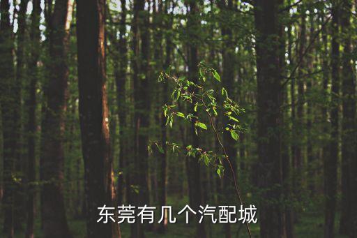 東莞有幾個汽配城