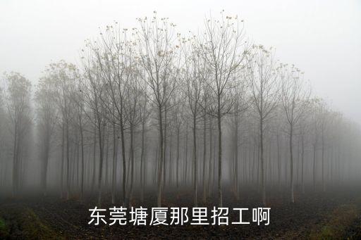 東莞塘廈那里招工啊