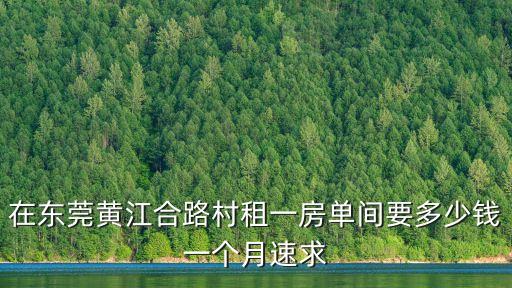 在東莞黃江合路村租一房單間要多少錢一個月速求