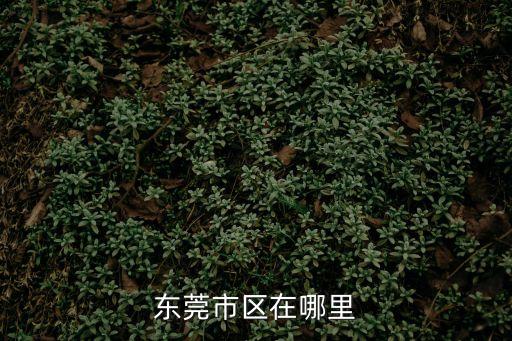 東莞市府是哪個區，東莞市區在哪里