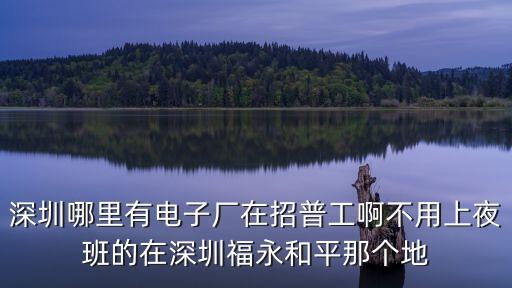 盛陽智能科技深圳，深圳哪里有電子廠在招普工啊不用上夜班的在深圳福永和平那個地