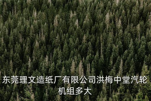 東莞理文造紙廠有限公司洪梅中堂汽輪機組多大