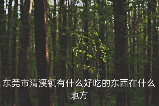 東莞市清溪鎮有什么好吃的東西在什么地方