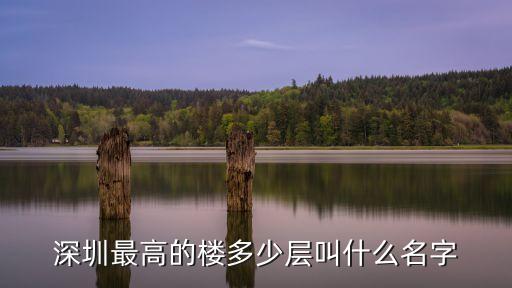 深圳光明南星大樓，深圳有哪兩座高樓