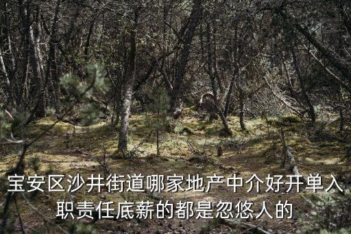 深圳沙井哪里中介好，深圳沙井哪個職介所好點